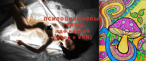 шишки Горно-Алтайск