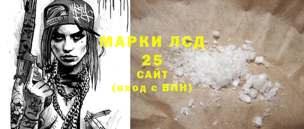 шишки Горно-Алтайск