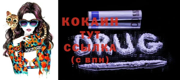 шишки Горно-Алтайск
