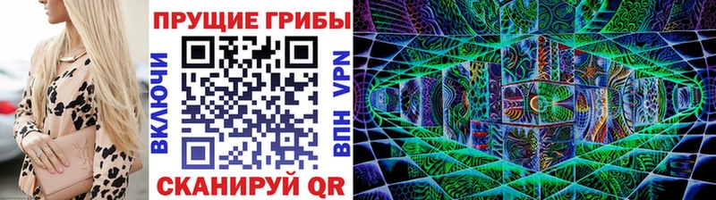 где найти наркотики  Ахтырский  Псилоцибиновые грибы Cubensis 